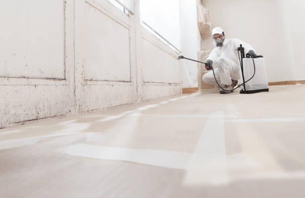 24/7 Emergency Mold Removal experts in Forest Park, IL